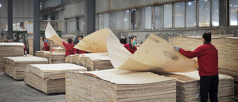 人造板力學(xué)性能的高精度測試 人造板力學(xué)性能的高精度測試